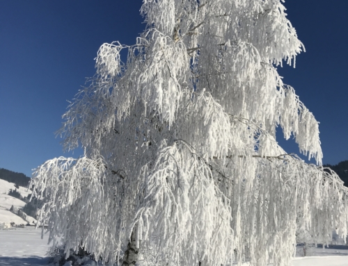 Übers Winterwunderland und die Welt des Getrenntseins von Adrian…